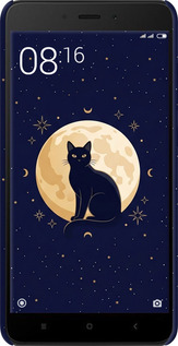 3D пластиковый матовый чехол Cute Cat Celestial/Witchy для Xiaomi Redmi Note 4X - 6787m-951 изображение 