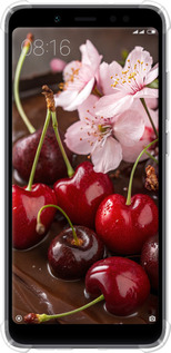 Силикон с усиленными углами чехол Вишня в шоколаде для Xiaomi Redmi Note 5 Pro - 6698sp-1353 изображение 