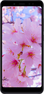 2D пластиковый чехол Сакура для Xiaomi Redmi Note 5 Pro - 6029t-1353 изображение 