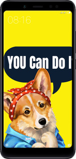 Силиконовый чехол чехол с корги You Can Do It для Xiaomi Redmi Note 5 - 6184u-1516 изображение 