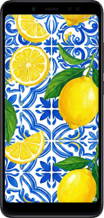 2D пластиковий чехол Grocery Girl Italian Summer для Xiaomi Redmi Note 5 Pro - 6766t-1353 изображение 