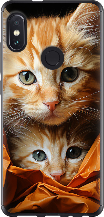 Котики 2