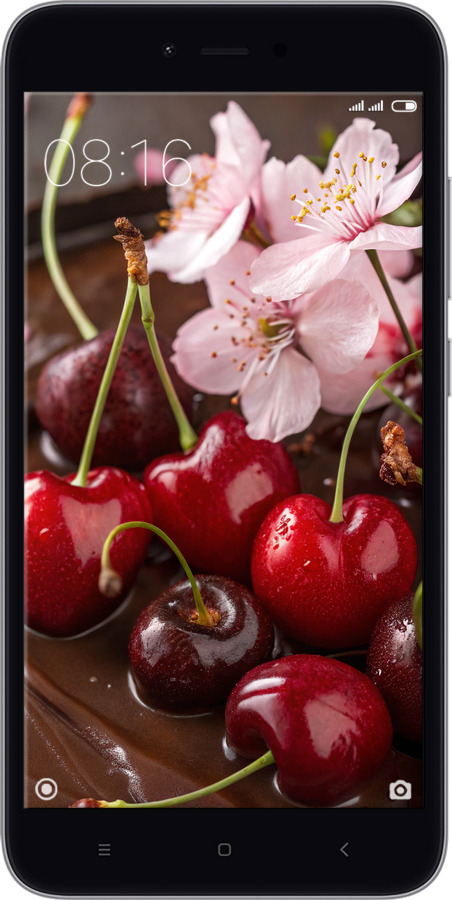 Силіконовий чехол Вишня у шоколаді для Xiaomi Redmi Note 5A - 6698u-1401 изображение 