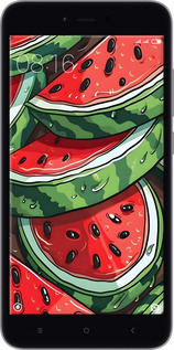 2D пластиковый чехол Арбуз для Xiaomi Redmi Note 5A Prime - 6315t-1063 изображение 