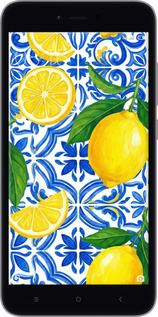 Силіконовий чехол Grocery Girl Italian Summer для Xiaomi Redmi Note 5A Prime - 6766u-1063 изображение 