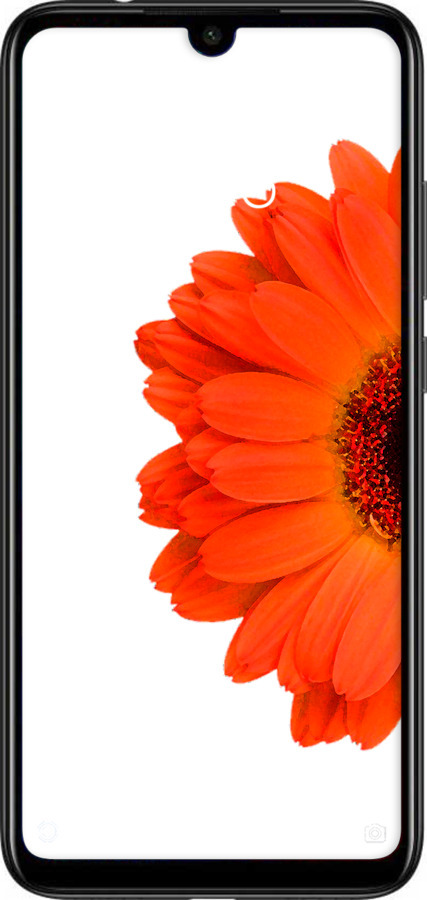 Силиконовый чехол Гербера 1 для Xiaomi Redmi Note 7 - 4534u-1639 изображение 
