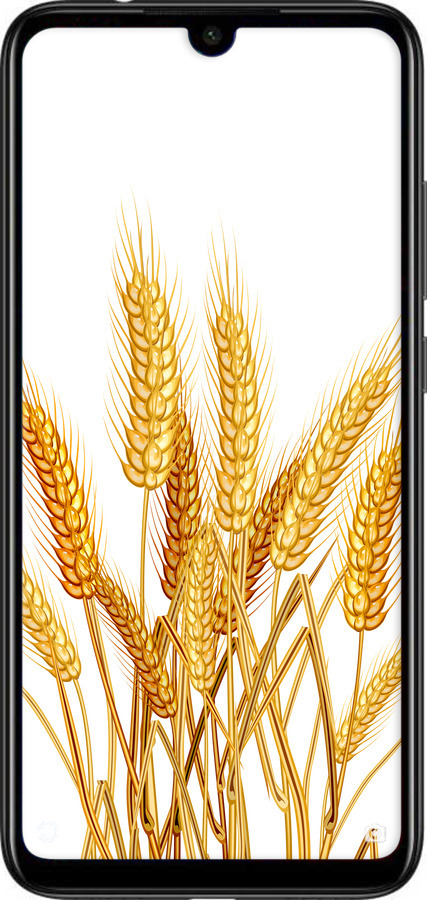 Силіконовий чехол Колоски пшениці для Xiaomi Redmi Note 7 - 5866u-1639 изображение 