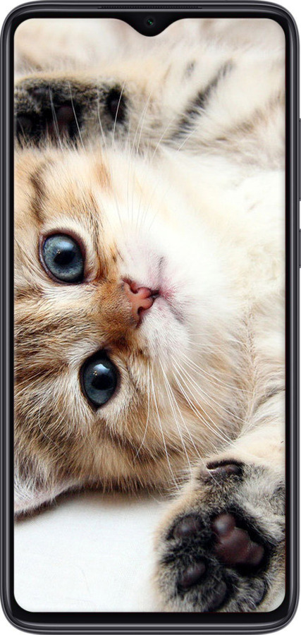 TPU чехол Котик для Xiaomi Redmi Note 8 Pro - 6024b-1783 изображение 