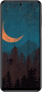 TPU чехол Звездный лес для Xiaomi Redmi Note 9 Pro - 6480b-1911 изображение 