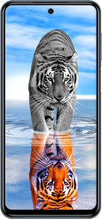 Силиконовый чехол Тигр для Xiaomi Redmi Note 9 Pro - 6016u-1911 изображение 