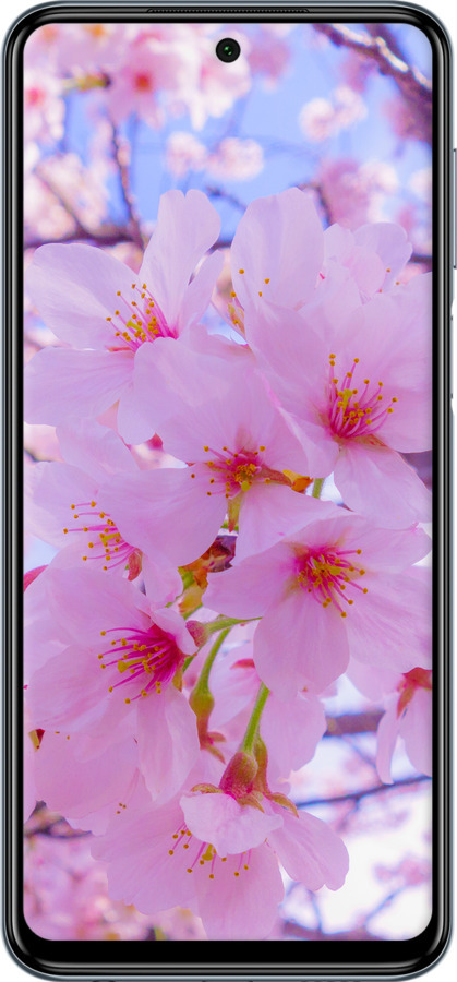 Силіконовий чехол Сакура для Xiaomi Redmi Note 9S - 6029u-2029 изображение 