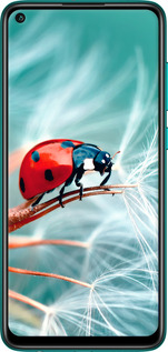 TPU чехол Божья коровка для Xiaomi Redmi Note 9 - 6049b-2017 изображение 