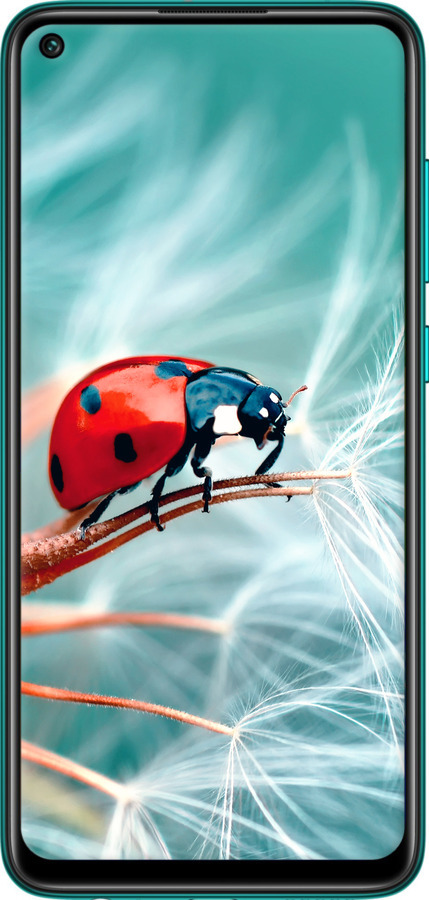 TPU чехол Божья коровка для Xiaomi Redmi Note 9 - 6049b-2017 изображение 