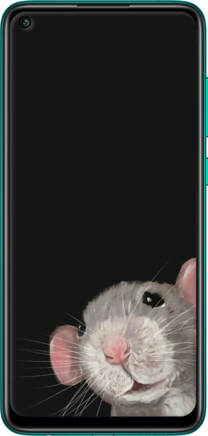 2D пластиковый чехол The Peeking Rat для Xiaomi Redmi Note 9 - 6442t-2017 изображение 