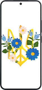 TPU чехол Герб v3 для Xiaomi Xiaomi 15 - 5265b-3880 изображение 