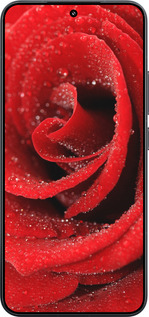 TPU чехол Червона троянда для Xiaomi Xiaomi 15 - 529b-3880 изображение 