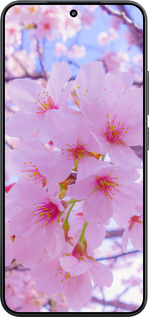 TPU чехол Сакура для Xiaomi Xiaomi 15 - 6029b-3880 изображение 