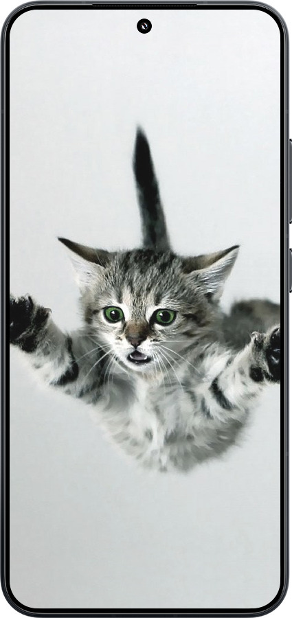 TPU чехол Летящий котёнок для Xiaomi Xiaomi 15 - 2322b-3880 изображение 