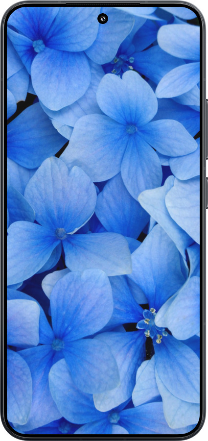 TPU чехол Сині квіти для Xiaomi Xiaomi 15 - 526b-3880 изображение 