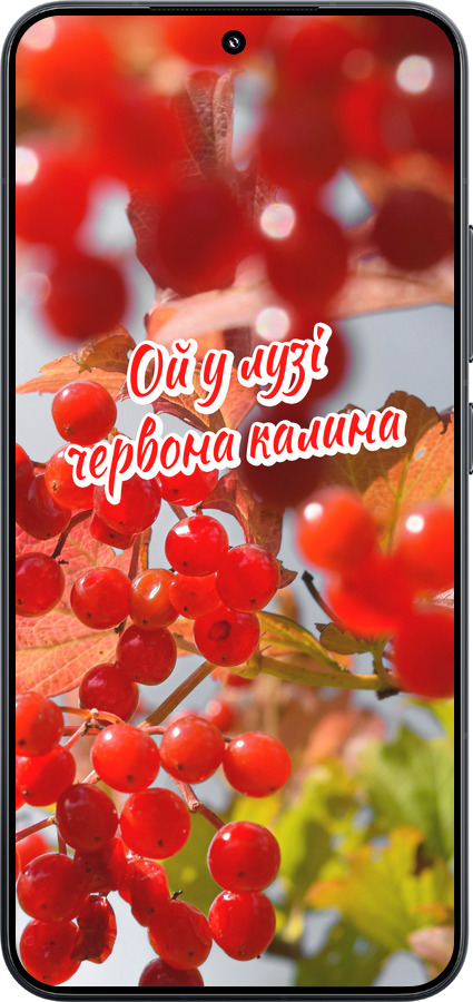 TPU чехол Калина для Xiaomi Xiaomi 15 - 5454b-3880 изображение 