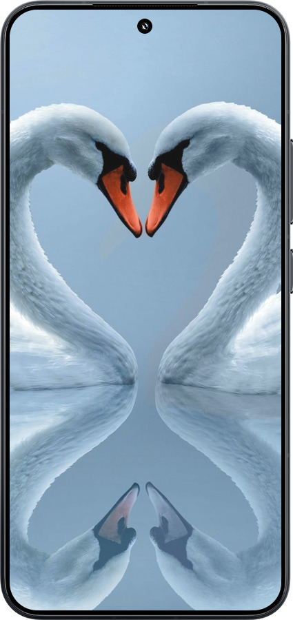 TPU чехол Лебеди для Xiaomi Xiaomi 15 - 6007b-3880 изображение 