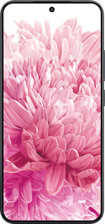 Силіконовий чехол Хризантема для Xiaomi Xiaomi 15 - 4666u-3880 изображение 