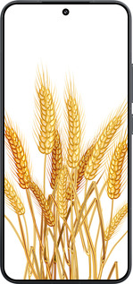 Силіконовий чехол Колоски пшениці для Xiaomi Xiaomi 15 - 5866u-3880 изображение 