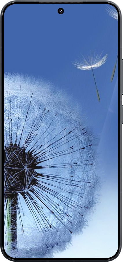 Силиконовый чехол Одуванчик для Xiaomi Xiaomi 15 - 6005u-3880 изображение 