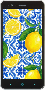 Силиконовый чехол Grocery Girl Italian Summer для ZTE A510 - 6766u-432 изображение 