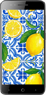 Силиконовый чехол Grocery Girl Italian Summer для ZTE A610 - 6766u-433 изображение 