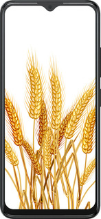 Силиконовый чехол Колоски пшеници для ZTE Blade A34 - 5866u-3989 изображение 