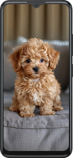 Силиконовый чехол Mini-maltipoo для ZTE Blade A34 - 6158u-3989 изображение 