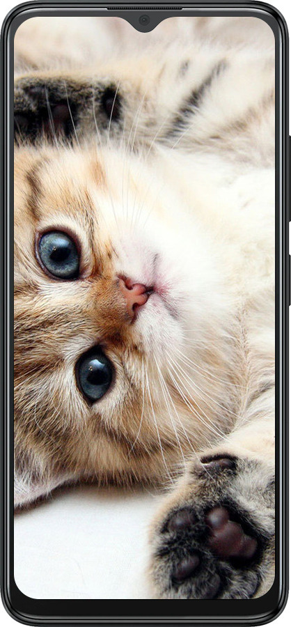 Силиконовый чехол Котик для ZTE Blade A34 - 6024u-3989 изображение 