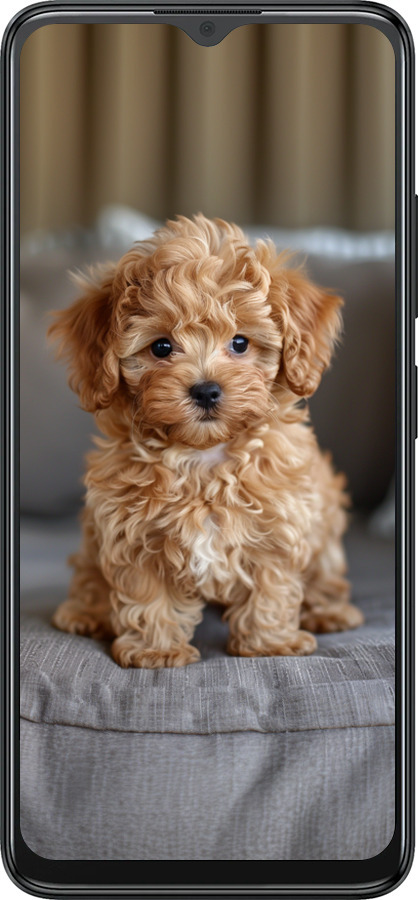 Силиконовый чехол Mini-maltipoo для ZTE Blade A34 - 6158u-3989 изображение 