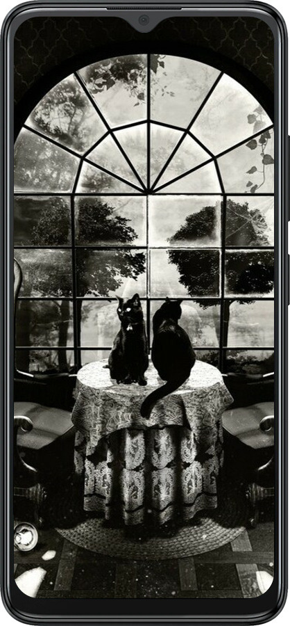 Силиконовый чехол Череп и коты для ZTE Blade A34 - 6432u-3989 изображение 