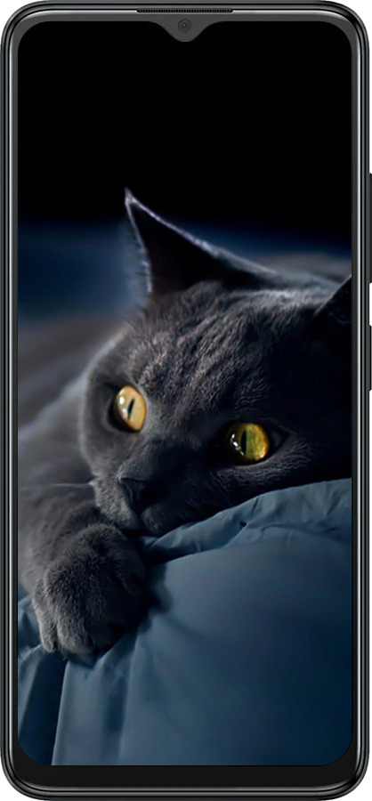 Силіконовий чехол Димчастий кіт для ZTE Blade A34 - 825u-3989 изображение 