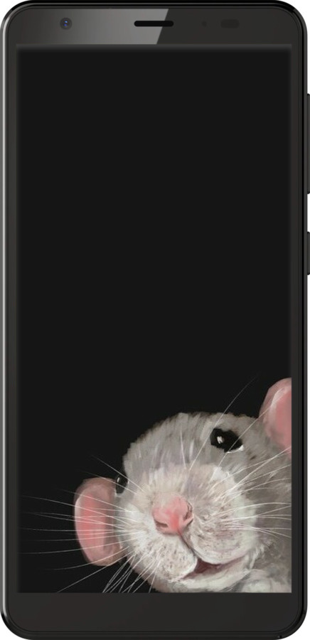 Силіконовий чехол The Peeking Rat для ZTE Blade A5 2019 - 6442u-2109 изображение 