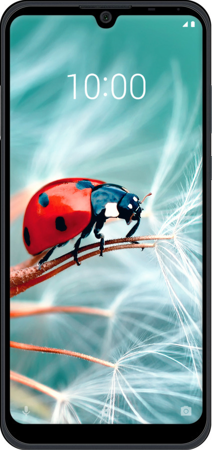 TPU чехол Божья коровка для ZTE Blade A5 2020 - 6049b-2111 изображение 
