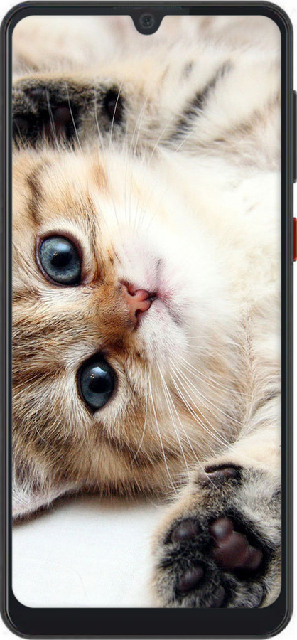 Силиконовый чехол Котик для ZTE Blade A7 2019 - 6024u-2110 изображение 