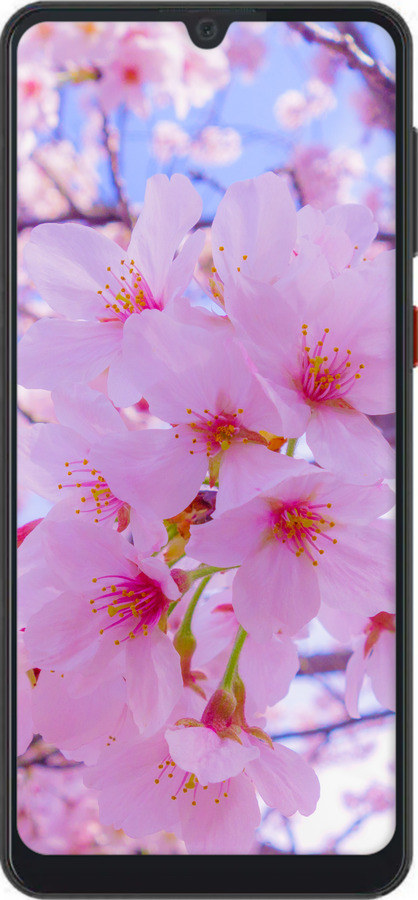 Силиконовый чехол Сакура для ZTE Blade A7 2019 - 6029u-2110 изображение 