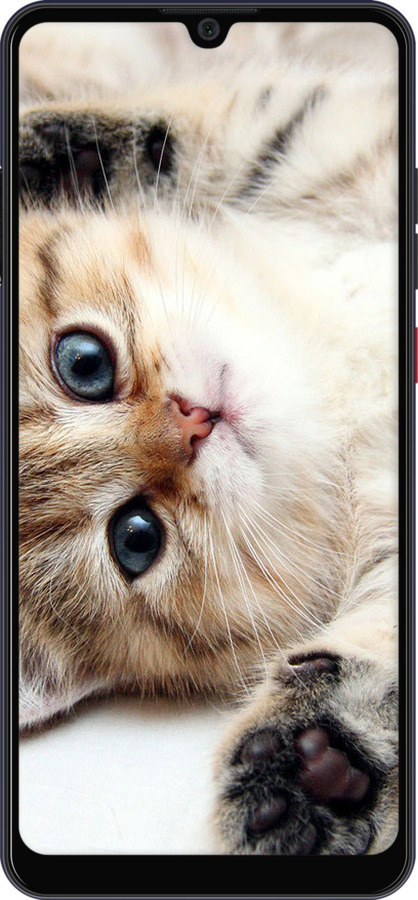 Силиконовый чехол Котик для ZTE Blade A7 2020 - 6024u-2108 изображение 
