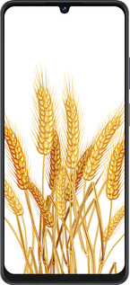 Силиконовый чехол Колоски пшеници для ZTE Blade V50 Vita - 5866u-3813 изображение 