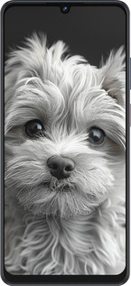 Силиконовый чехол Мальтипу на чорном фоне для ZTE Blade V50 Vita - 6156u-3813 изображение 