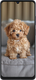 Силиконовый чехол Mini-maltipoo для ZTE Blade V50 Vita - 6158u-3813 изображение 