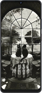 Силиконовый чехол Череп и коты для ZTE Blade V50 Vita - 6432u-3813 изображение 