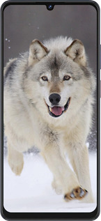 Силиконовый чехол Бегущий волк для ZTE Blade V50 Vita - 826u-3813 изображение 