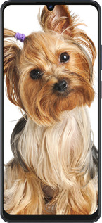 Силиконовый чехол Йоркширский терьер с хвостиком для ZTE Blade V50 Vita - 930u-3813 изображение 