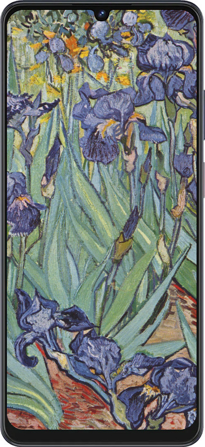 Силиконовый чехол Винсент Ван Гог. Ирисы для ZTE Blade V50 Vita - 161u-3813 изображение 