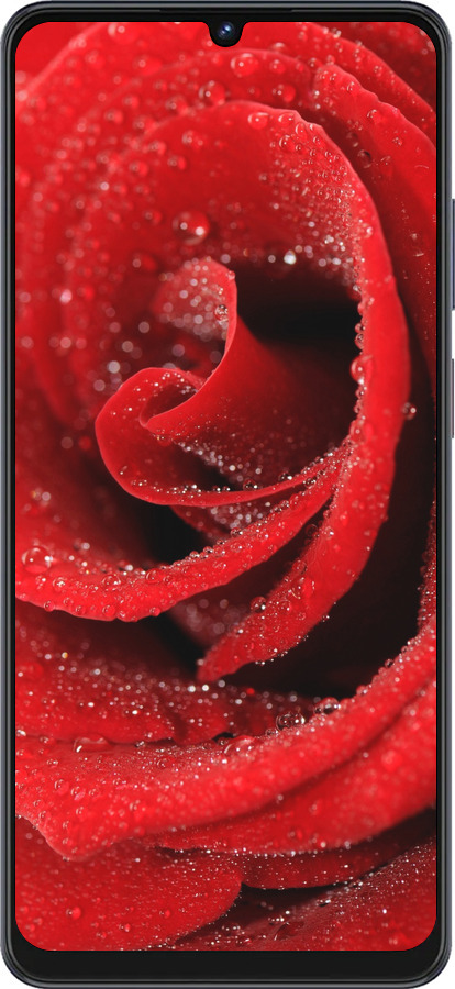 Силиконовый чехол Красная роза для ZTE Blade V50 Vita - 529u-3813 изображение 