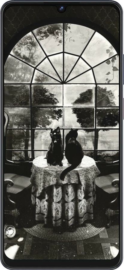 Силиконовый чехол Череп и коты для ZTE Blade V50 Vita - 6432u-3813 изображение 